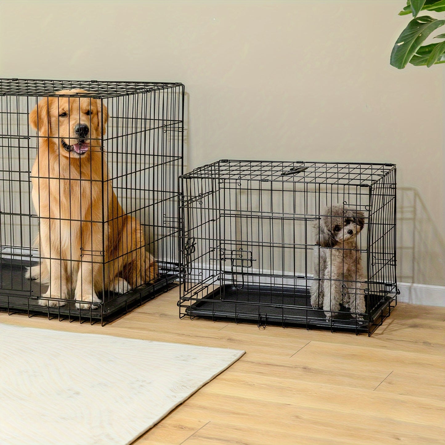 Dog Crate with Divider Panel Double Door, Folding Metal Wire Dog Cage with Plastic Leak-Proof Pan Tray, Pet Kennel for Indoor, Outdoor, and Travel