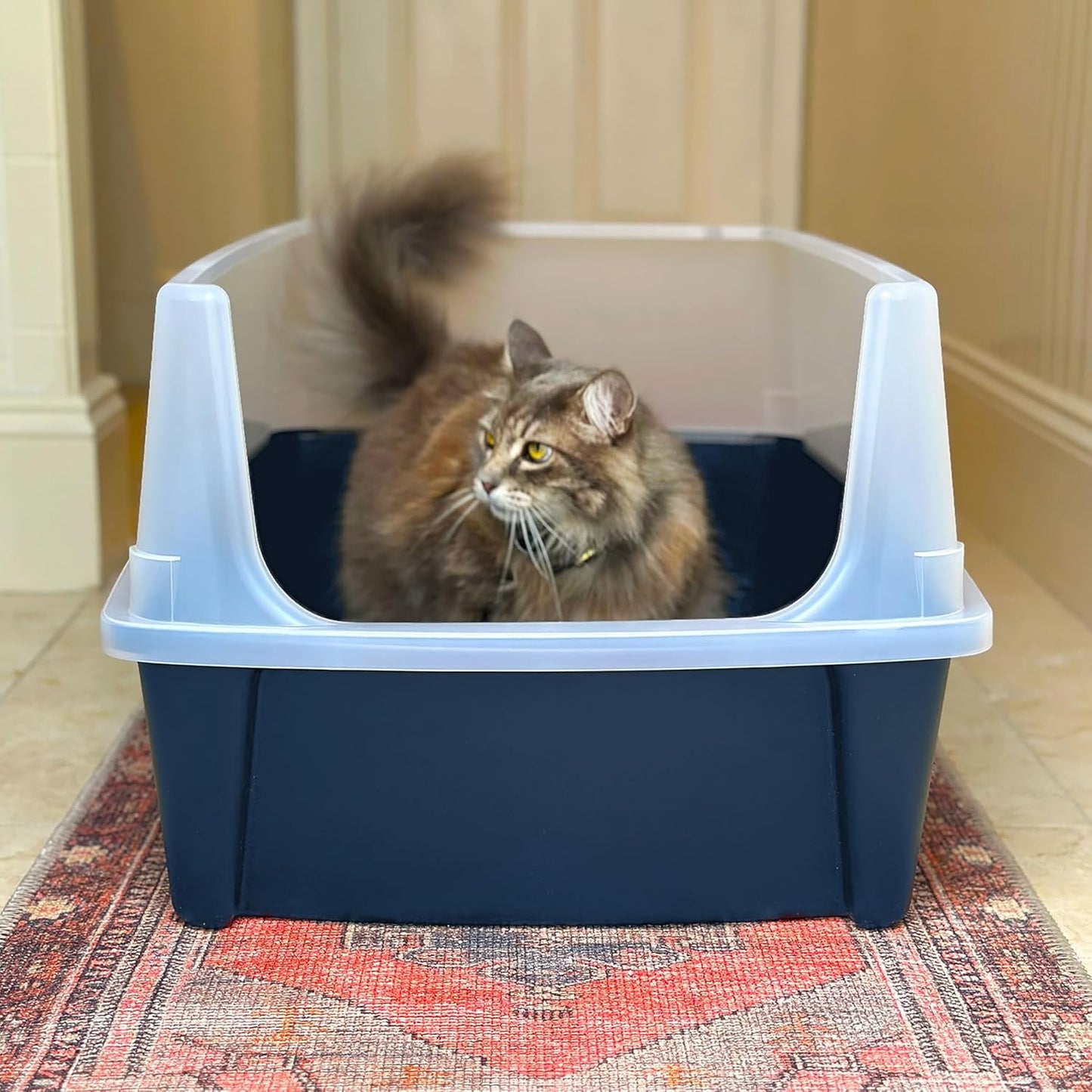 Extra Large Cat Litter Box, Open Top Litter Box for Big Cats and Multi-Cat Households, High Sided Scatter Shield, Easy to Clean